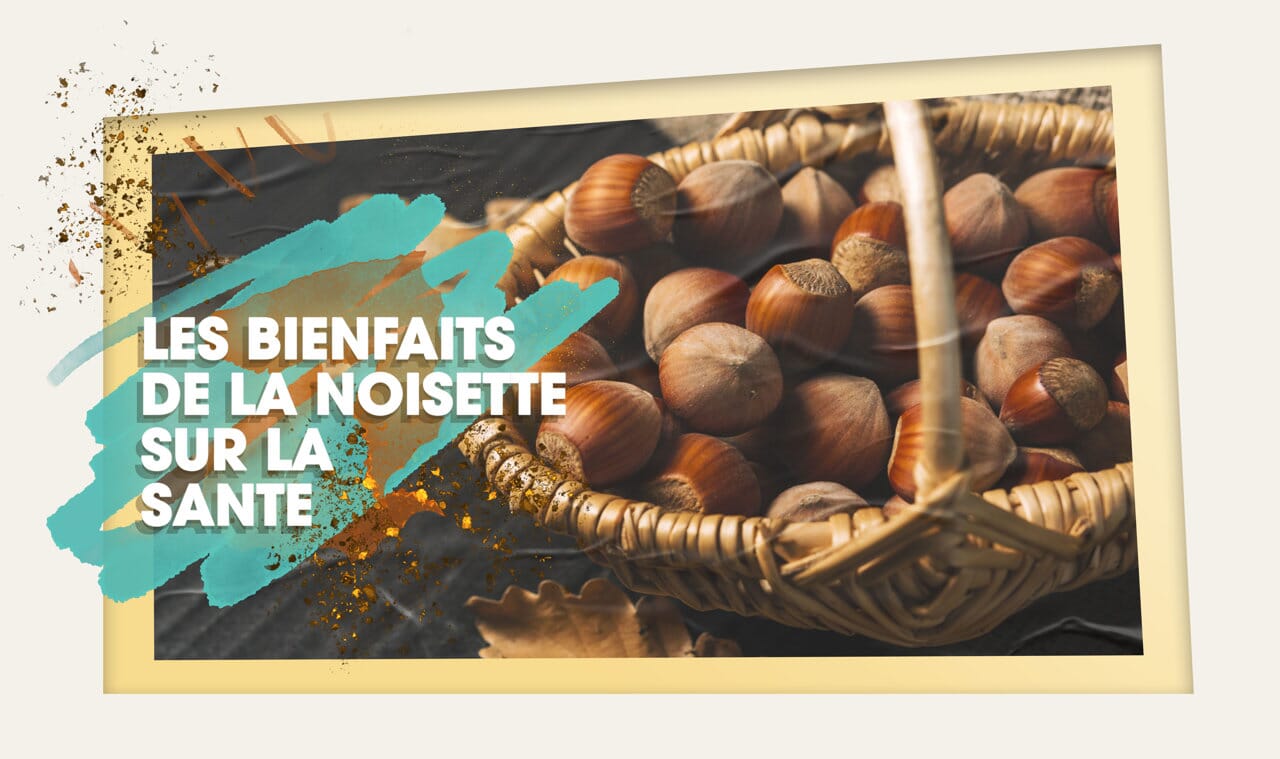 Noisette : bienfaits santé et recettes de ce fruit à coque