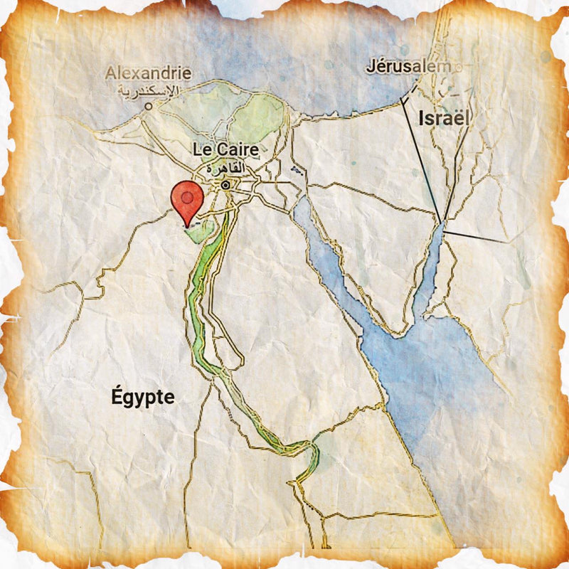 Graines de carvi Egypte Épices et assaisonnements 