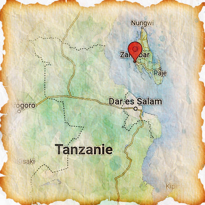 Clou de girofle de Zanzibar 