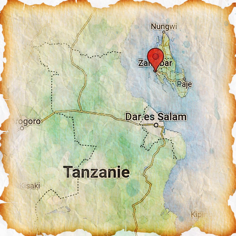 Cannelle en poudre de Tanzanie Épices et assaisonnements 